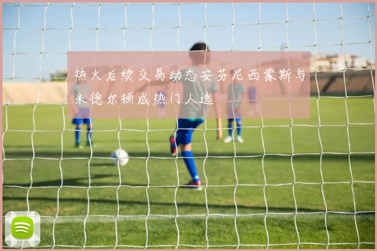 热火后续交易动态安芬尼西蒙斯与米德尔顿成热门人选