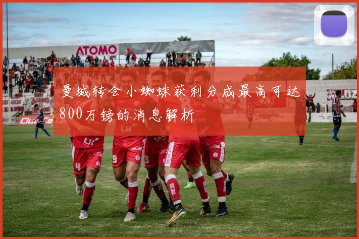 曼城转会小蜘蛛获利分成最高可达800万镑的消息解析